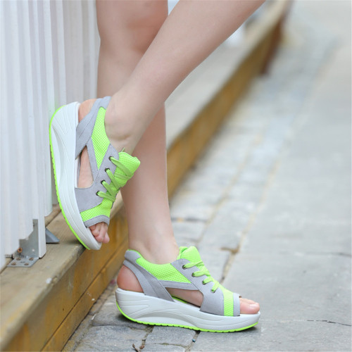 green6.jpg