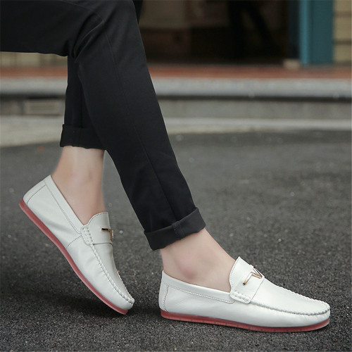 white5a7444.jpg